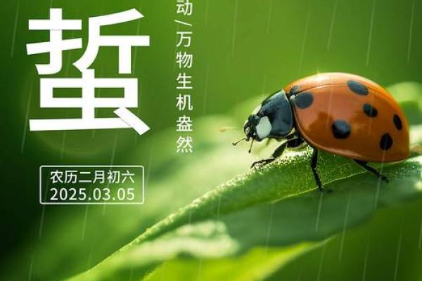 2021惊蛰是几月几日日几点 今年惊蛰节气是几号