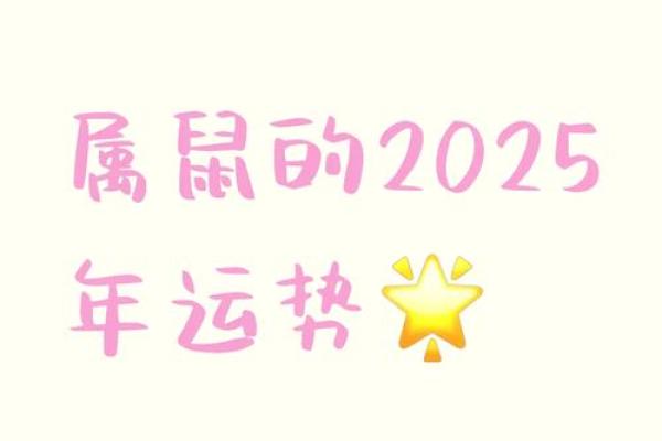 属鼠的今天运气(2025属鼠人的全年运势)