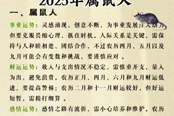 2025属鼠每月运势(2025年属鼠每月运势完整版)