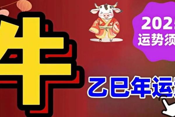 属牛的2025年领证吉日(属牛2020年结婚黄道吉日)