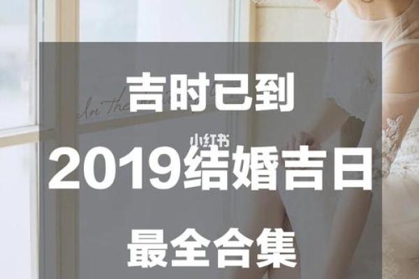 5月1号结婚日子好不好(10月1日结婚好吗)
