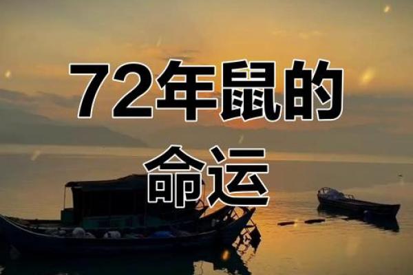 属鼠人未来三年运势(属鼠人未来十年运势)