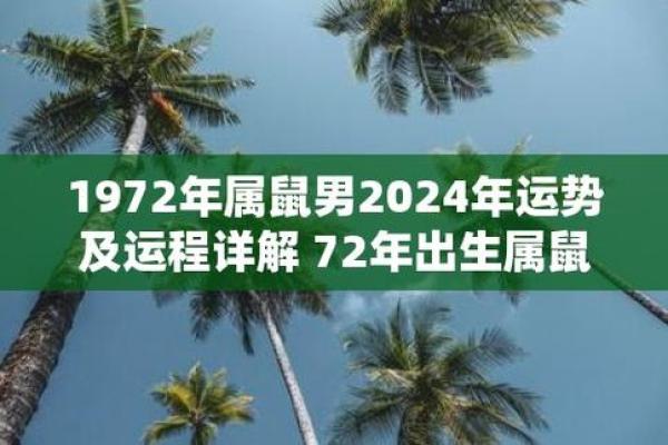 72年属鼠的运程(72年属鼠运程大全)