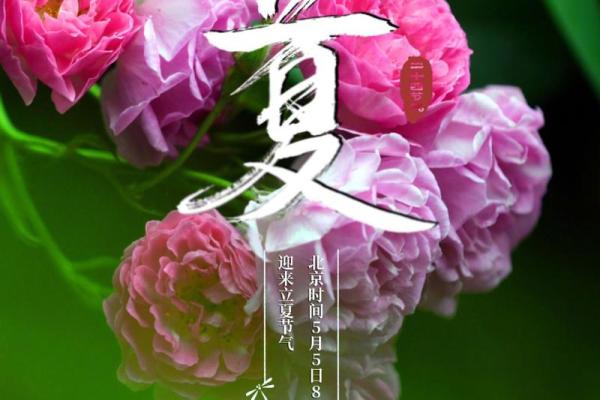 立夏节气,立夏是什么意思,立夏代表什么
