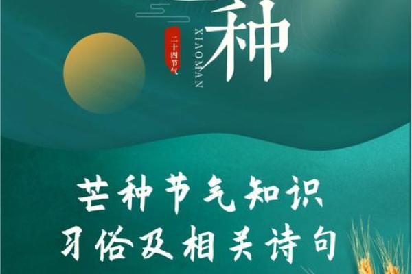 芒种节气,芒种是什么意思,芒种代表什么