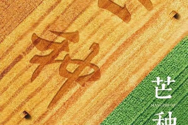 芒种节气,芒种是什么意思,芒种代表什么