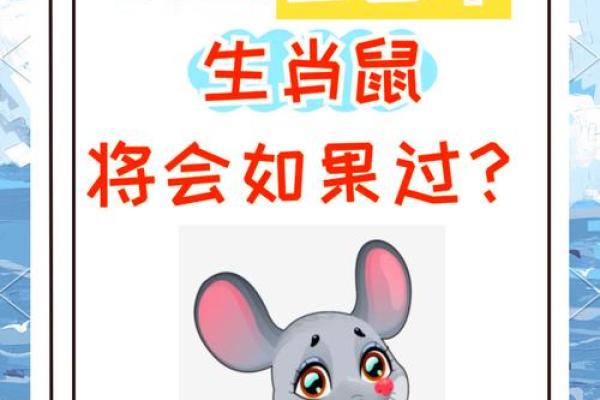 1996年属鼠未来5年运势(96年属鼠人未来十年运势)