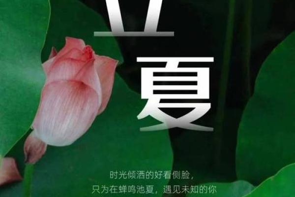 描写立夏时节的唯美句子 关于立夏节气的优美文字
