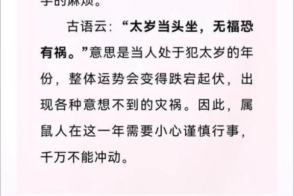 1984年属鼠在2025年运势(1984年属鼠在2025年运势)