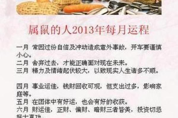 1984属鼠男2025年运势(1984年属鼠男2023年运势)
