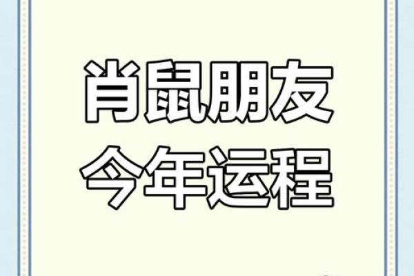 1984属鼠男2025年运势(1984年属鼠男2023年运势)