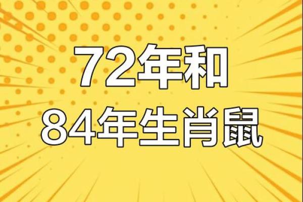 72年属鼠在2025年全年运程(72年属鼠人2023年运势怎么样)