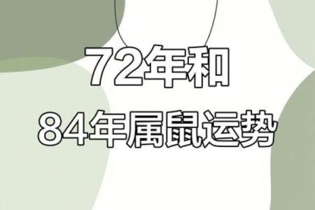 84年属鼠女今日运势(72年鼠女今年每月运程)