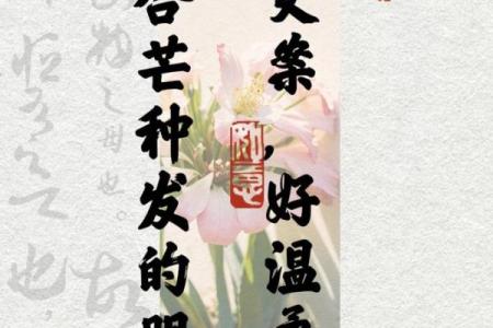 芒种节气适合发朋友圈的句子80句