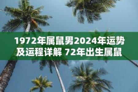 72年属鼠的运程(72年属鼠运程大全)