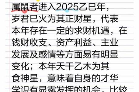 1984年鼠人2025全年运势如何(1984年鼠2022年运势如何)