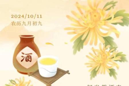 为什么9月9日被称为重阳节 重阳节有什么节日意义