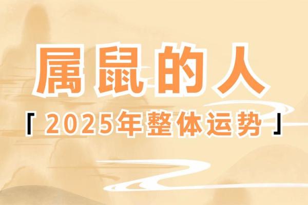 1984年鼠人2025年运势如何(1984年生人2024年运势如何)