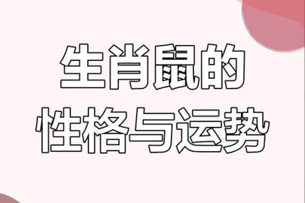 2008年属鼠女孩一生命运(2008年属鼠女孩一生命运怎么样)
