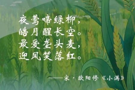 小满节气相关的诗词