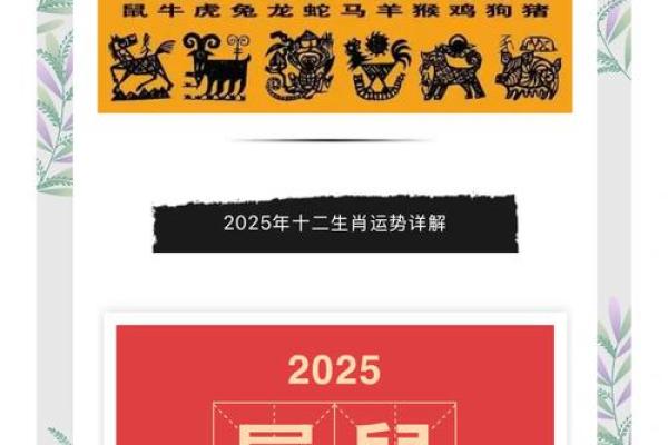 属鼠的人今天的运势和财运(属鼠的人今天的运势和财运如何)