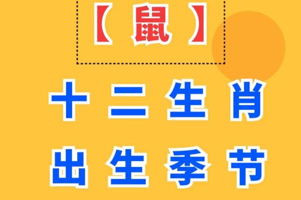 1984属鼠41岁以后运气(1984年属鼠40岁以后)