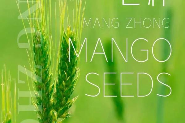 芒种节气的含义是什么意思 芒种有什么寓意