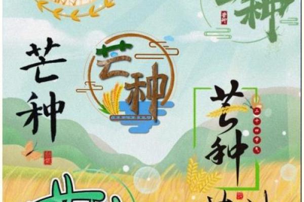 芒种节气的含义是什么意思 芒种有什么寓意
