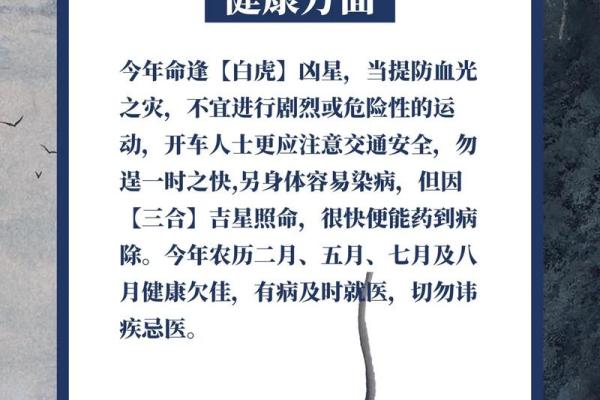 1972年属鼠女2025年每月运程(1972年鼠女2022年每月运程月运程)
