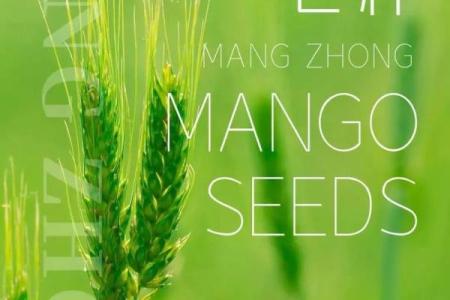 芒种节气的含义是什么意思 芒种有什么寓意