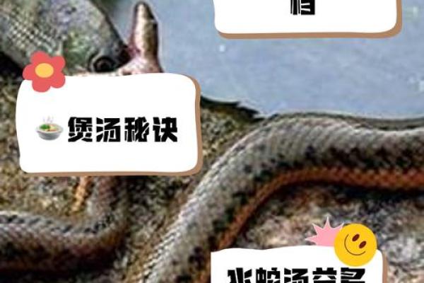 梦见水里有大蛇
