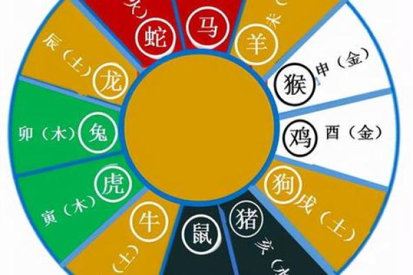 91年属什么生肖