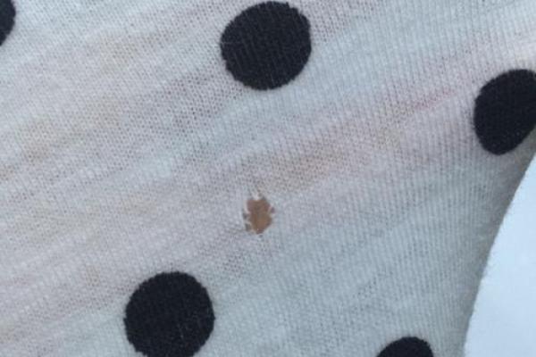 梦见新买的衣服破了是什么意思