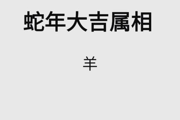 1991年属什么生肖