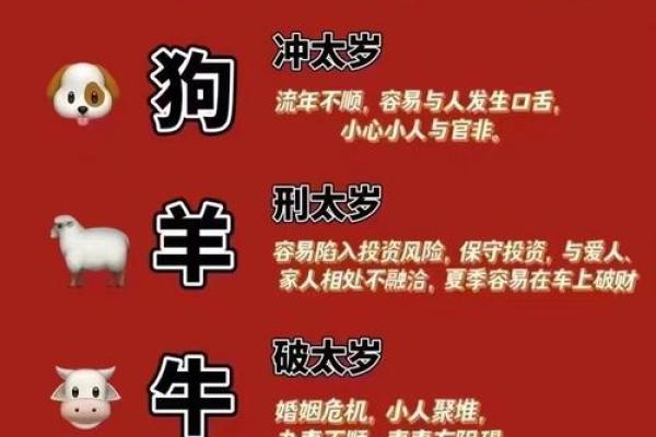 2023年6岁属什么生肖