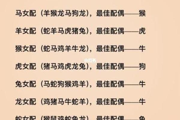 老虎和什么属相相冲