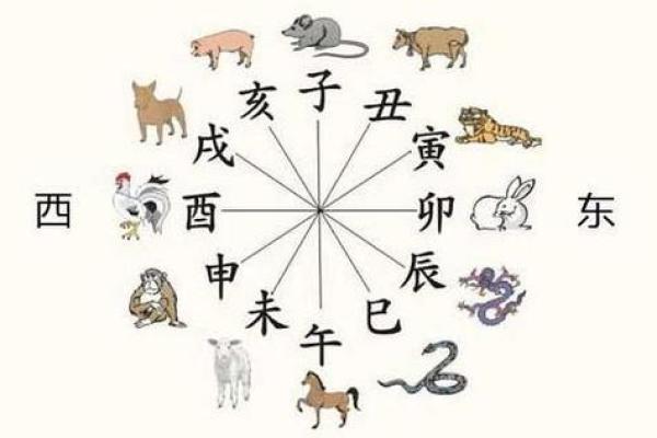 今日什么生肖相冲
