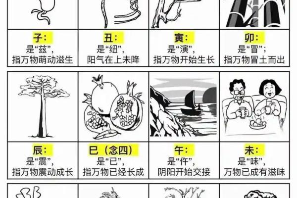 八难三灾是什么生肖