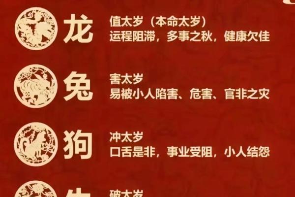 八难三灾是什么生肖