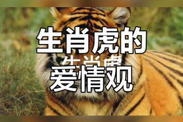 坚强的动物是什么生肖