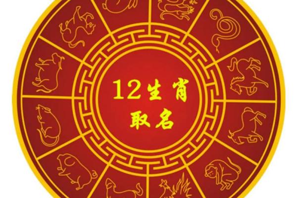 2019年生肖