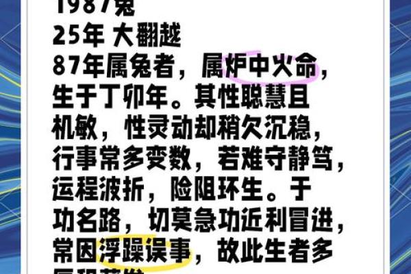 1987年属什么生肖属兔