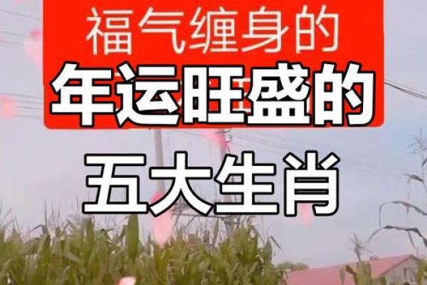 2019年属什么生肖