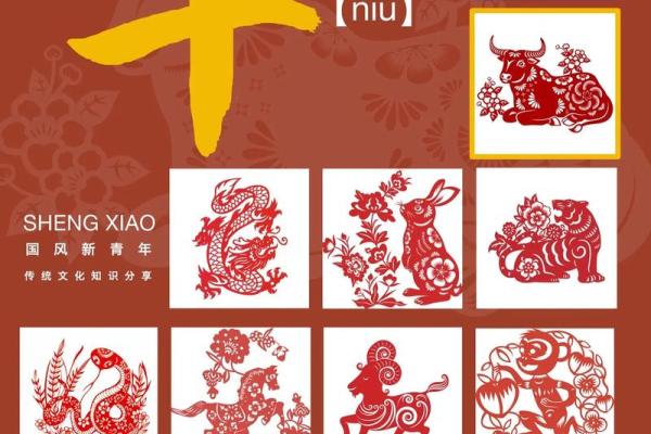 属牛跟什么属相相冲