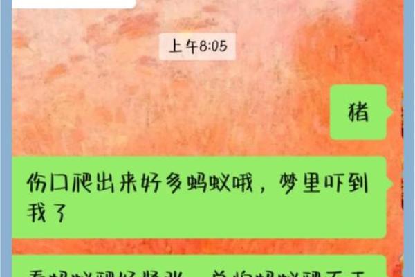 梦见身上爬满了蚂蚁