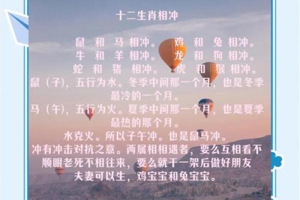 子午相冲打一最准生肖