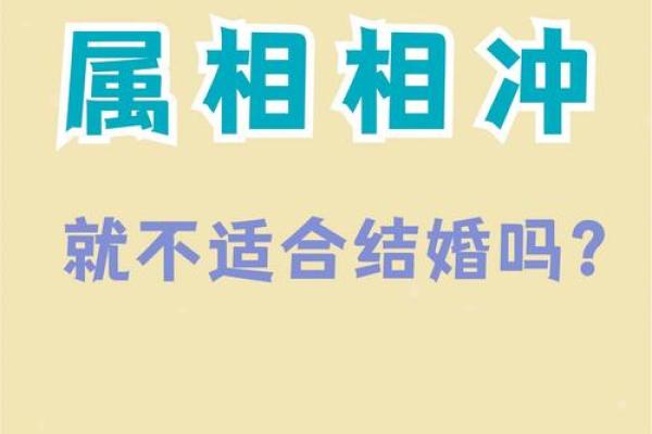 子午相冲打一最准生肖