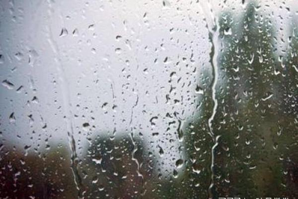 梦见下雪下雨什么意思