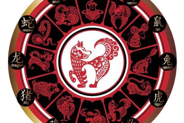 欲买变化最大的动物是什么生肖