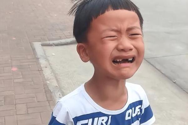 梦见儿子突然回家来了